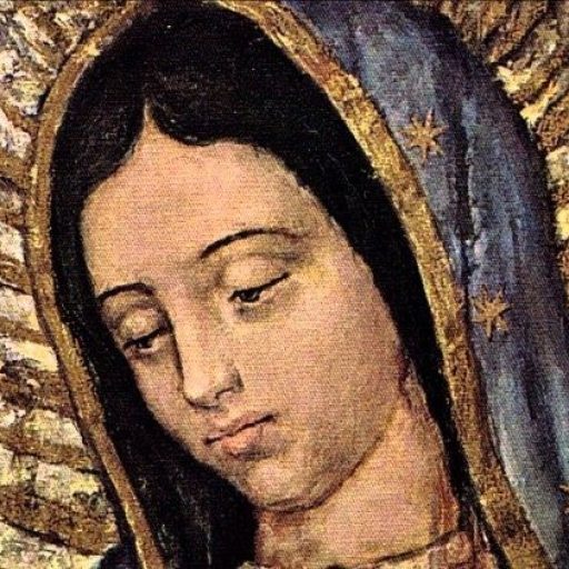 salta noticias salta